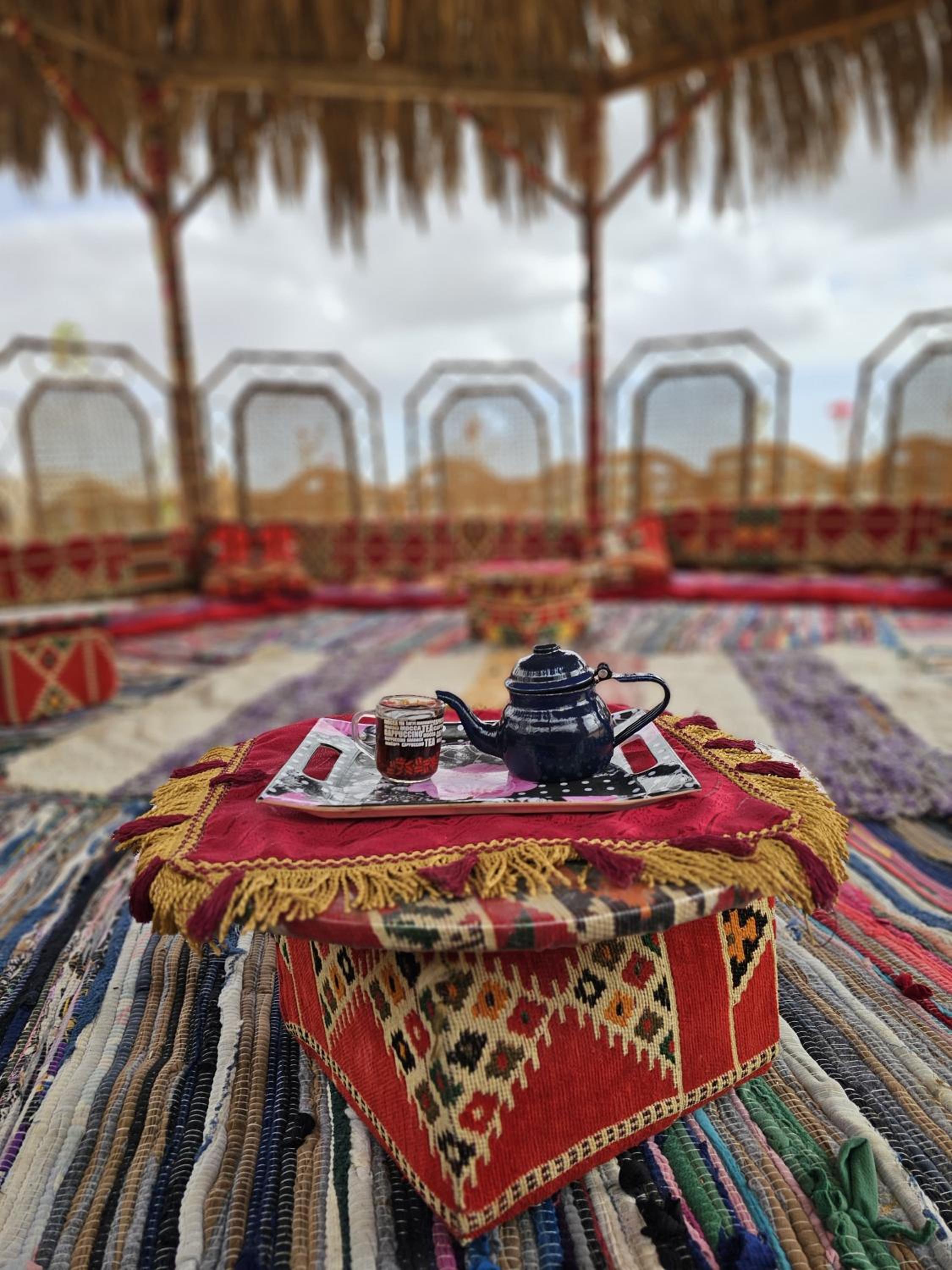 flamingo camp