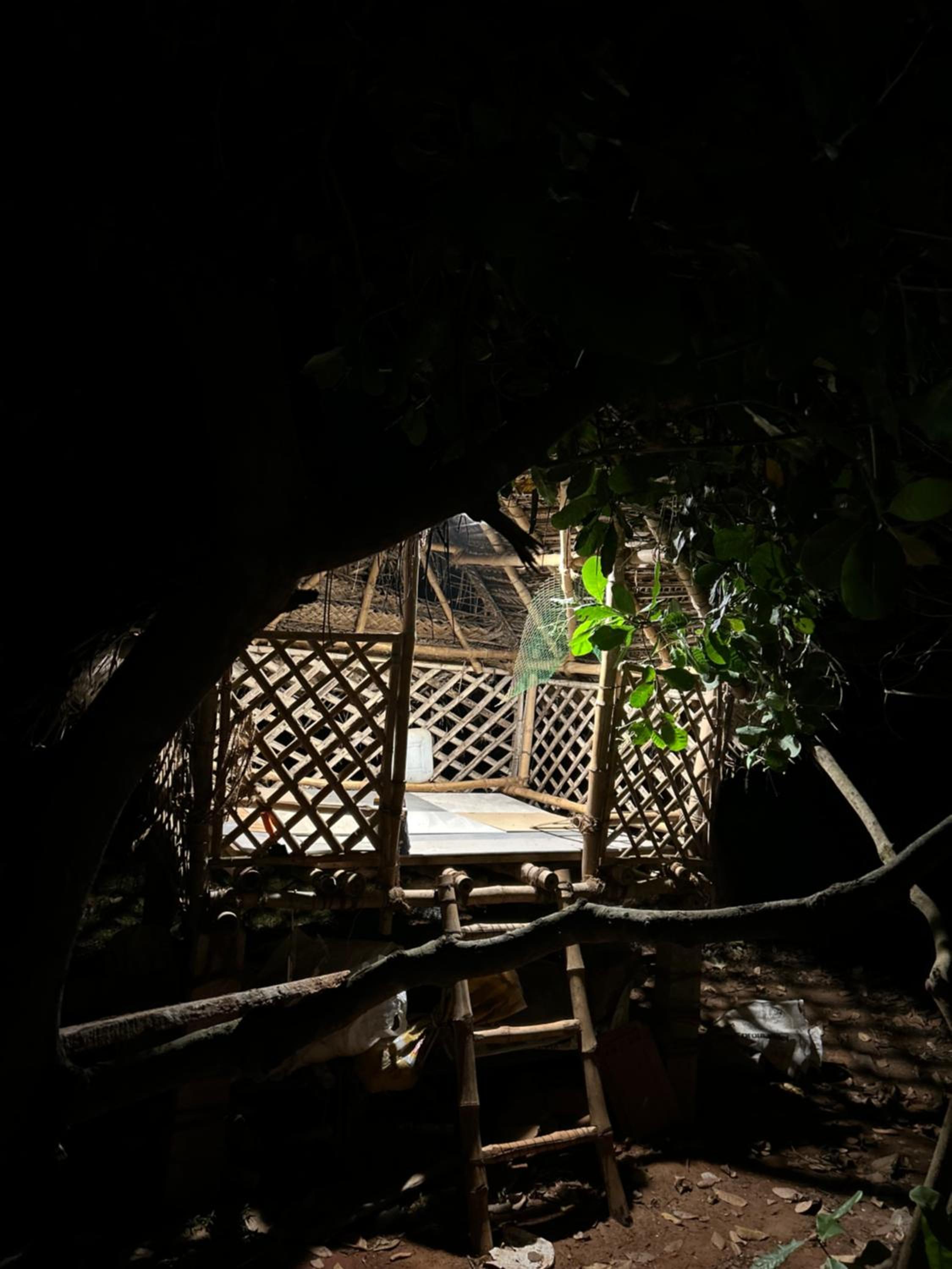 Ambakkadan’s Nest view 5