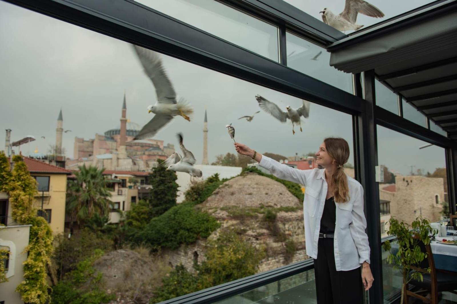 Villa Sofia - Image 12