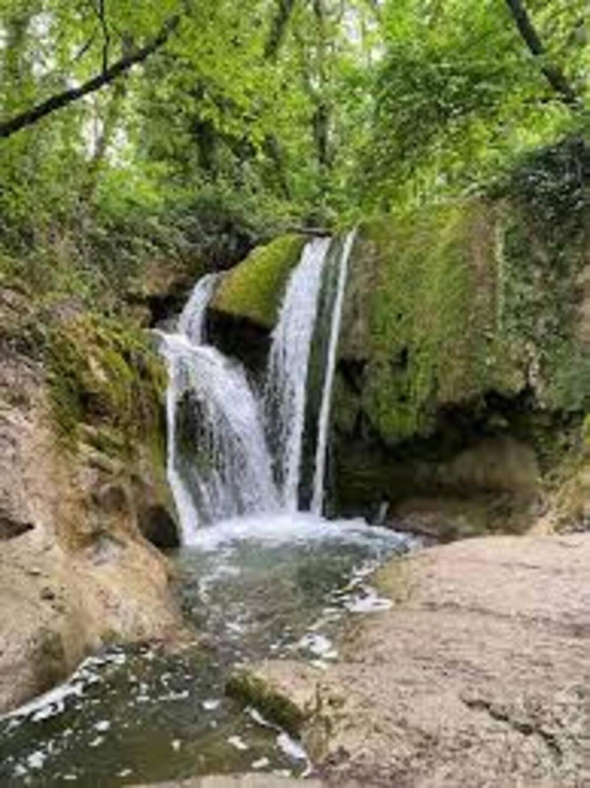 Photo 42