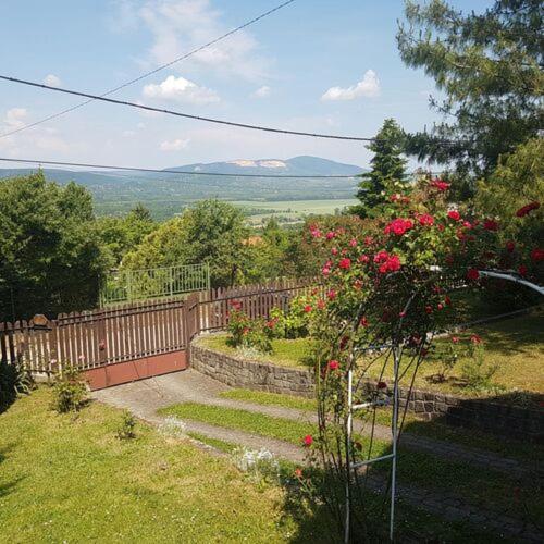 Panoráma Vendégház Dunabogdány