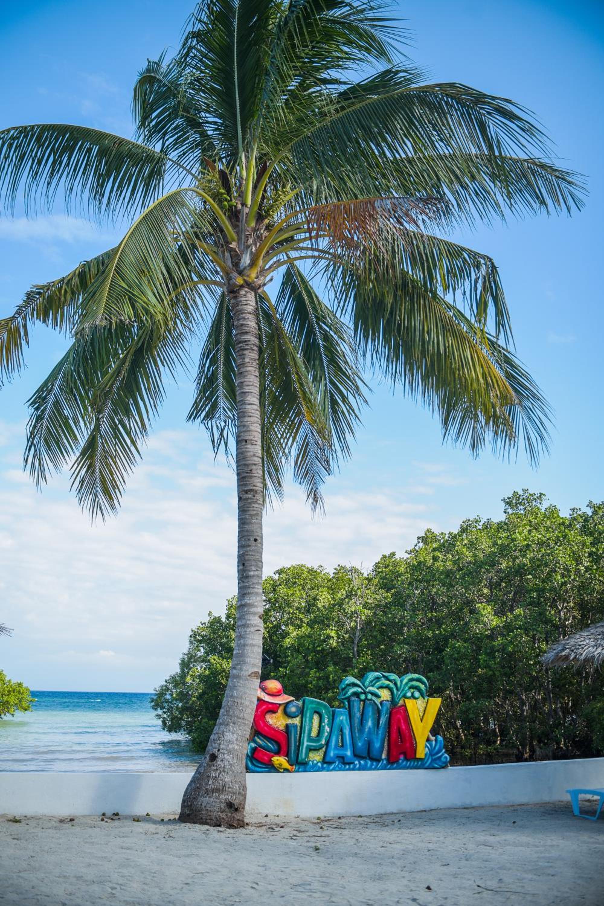 Sipaway Island Resort Inc Former Whispering Palms Resort