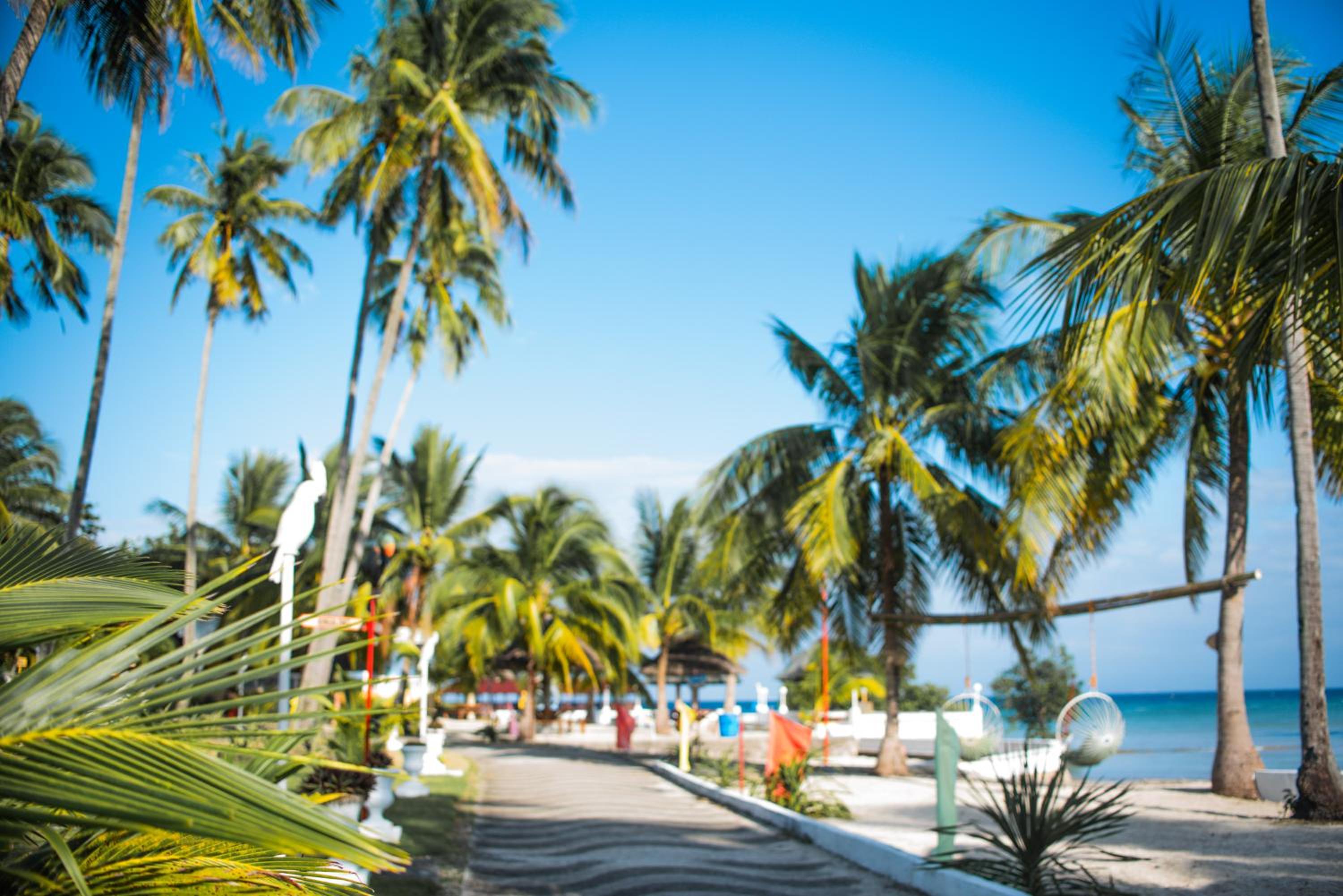Sipaway Island Resort Inc Former Whispering Palms Resort