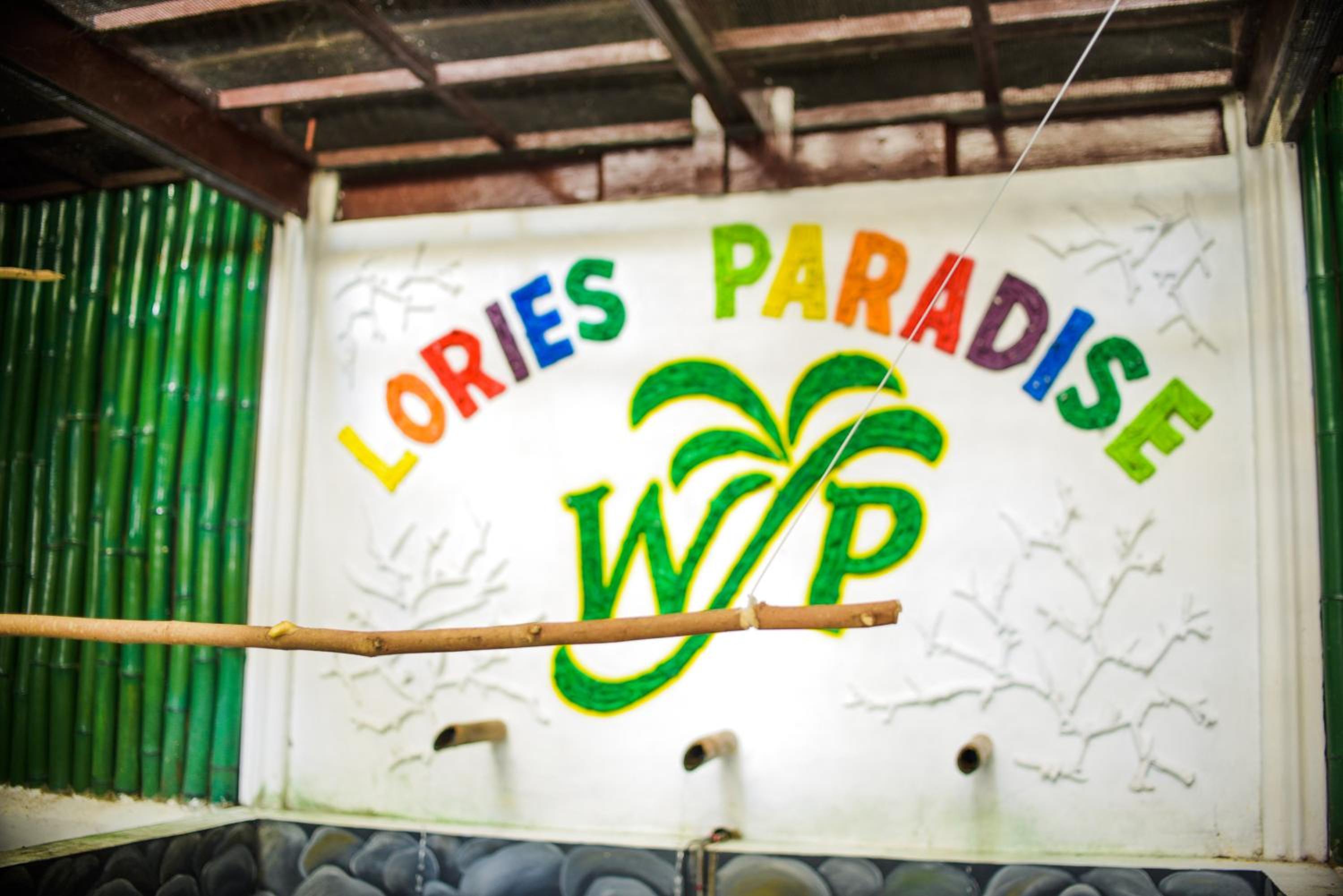 Sipaway Island Resort Inc Former Whispering Palms Resort
