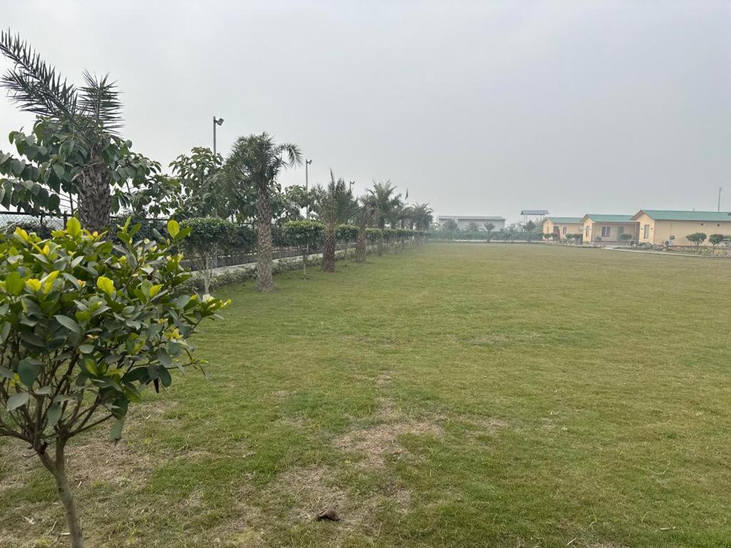 Serene, charming and party friendly Farmhouse sec 150 Noida view 4