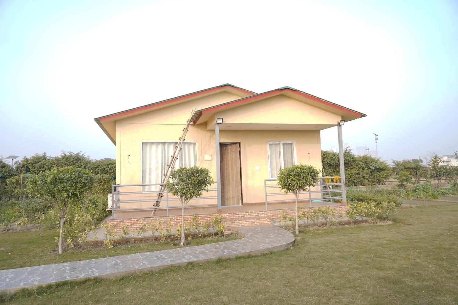 Photo 11