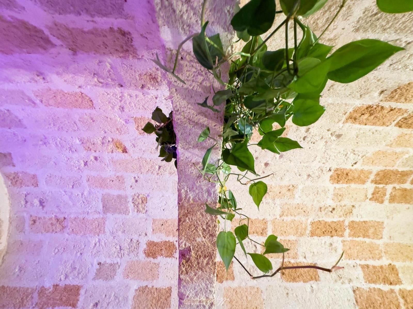 Dimora Kiaorana In Polignano A Mare - Happy Rentals