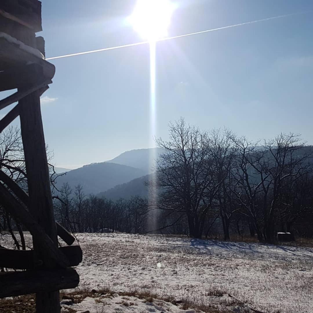 Panoráma Vendégház Dunabogdány