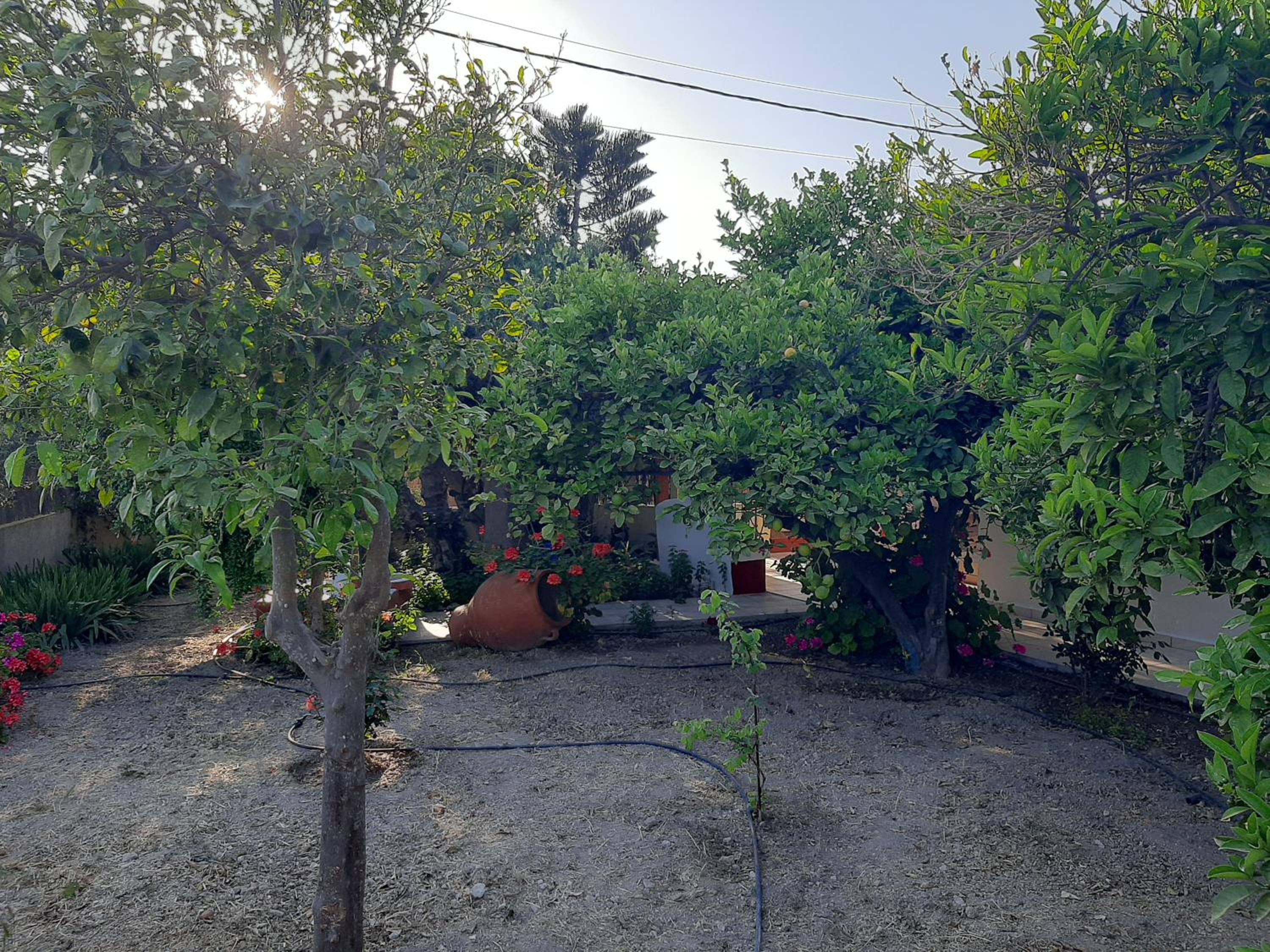 Photo 46