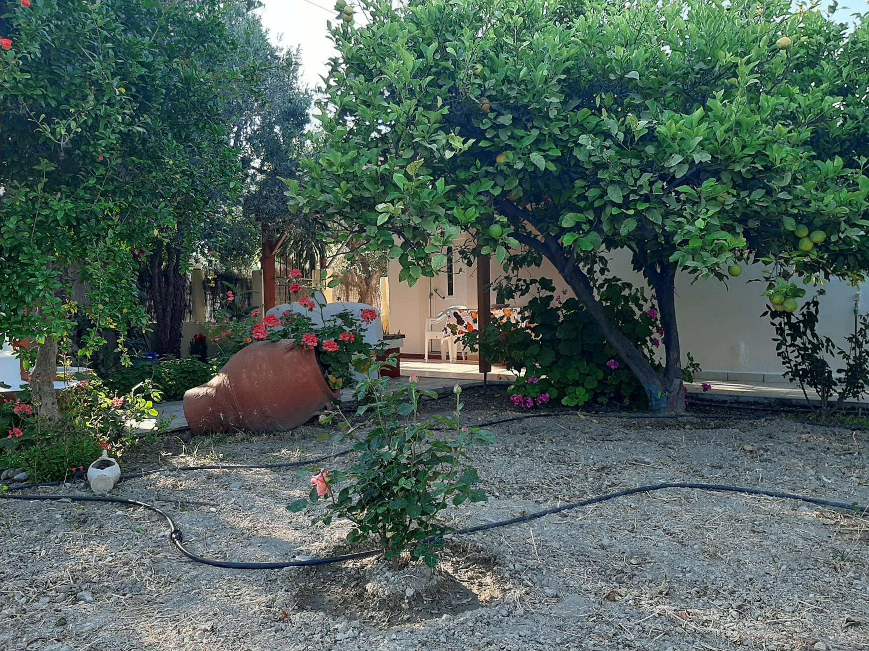 Photo 48