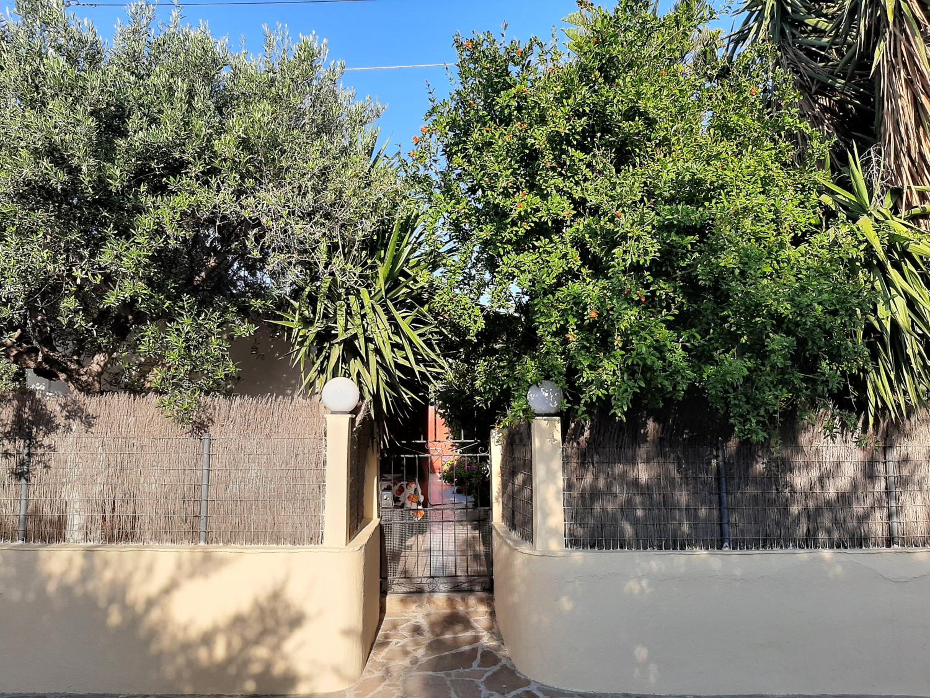 Photo 49