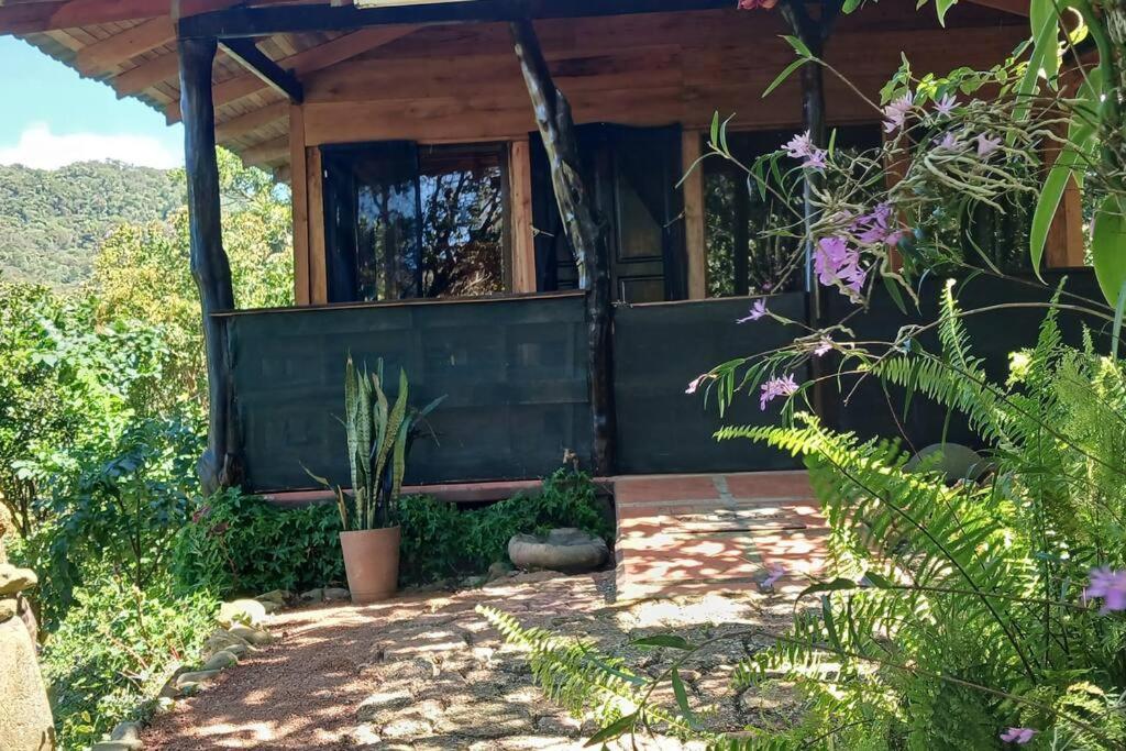 Casa Monstera