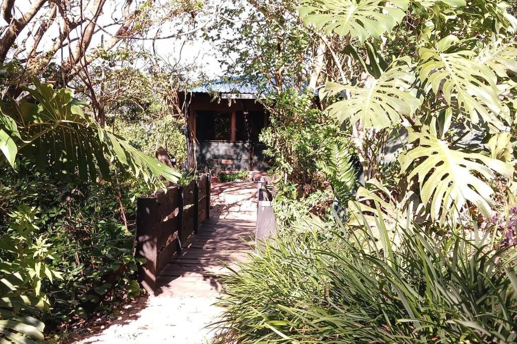 Casa Monstera
