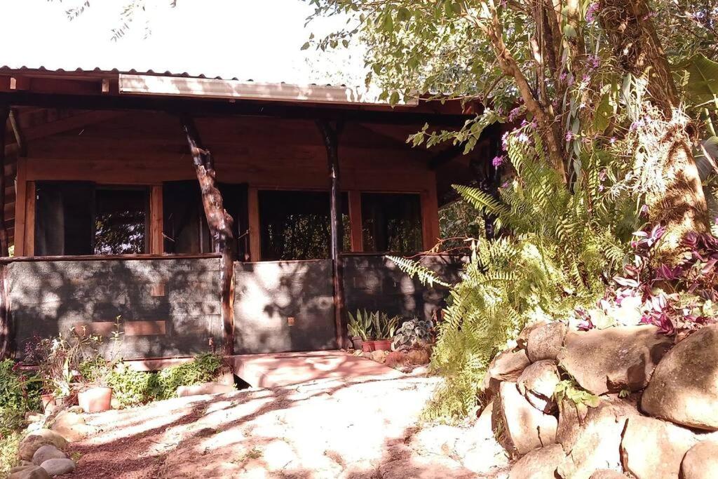 Casa Monstera