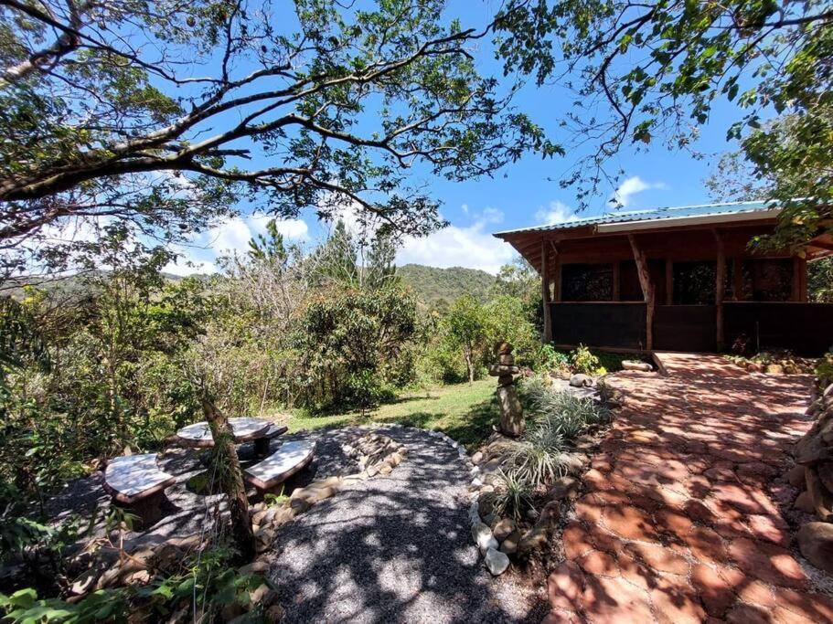 Casa Monstera