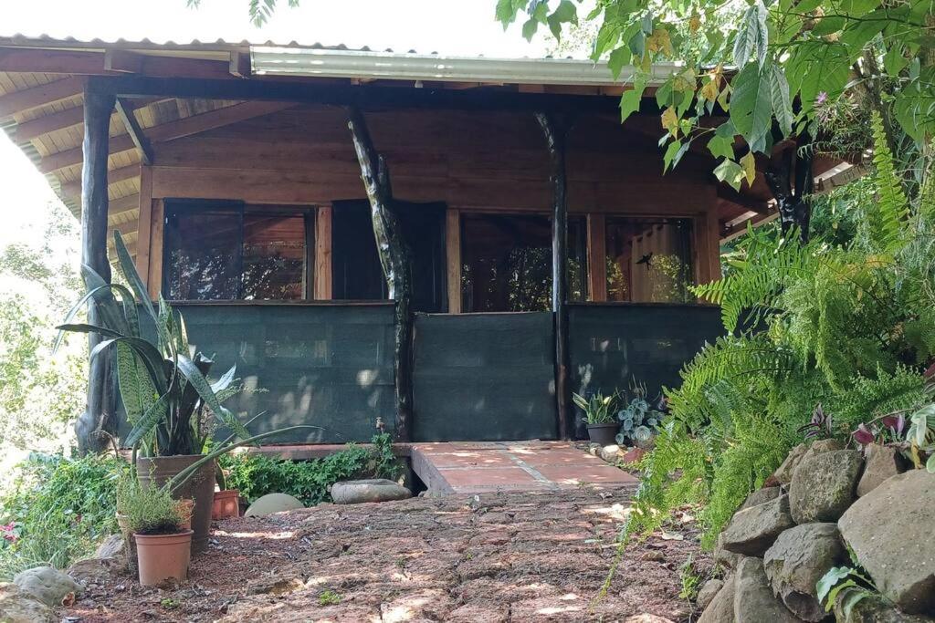 Casa Monstera