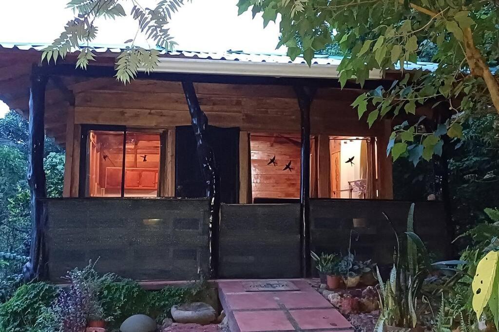 Casa Monstera