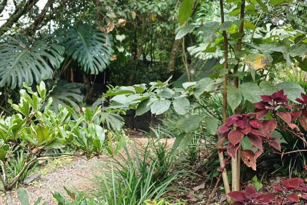 Casa Monstera