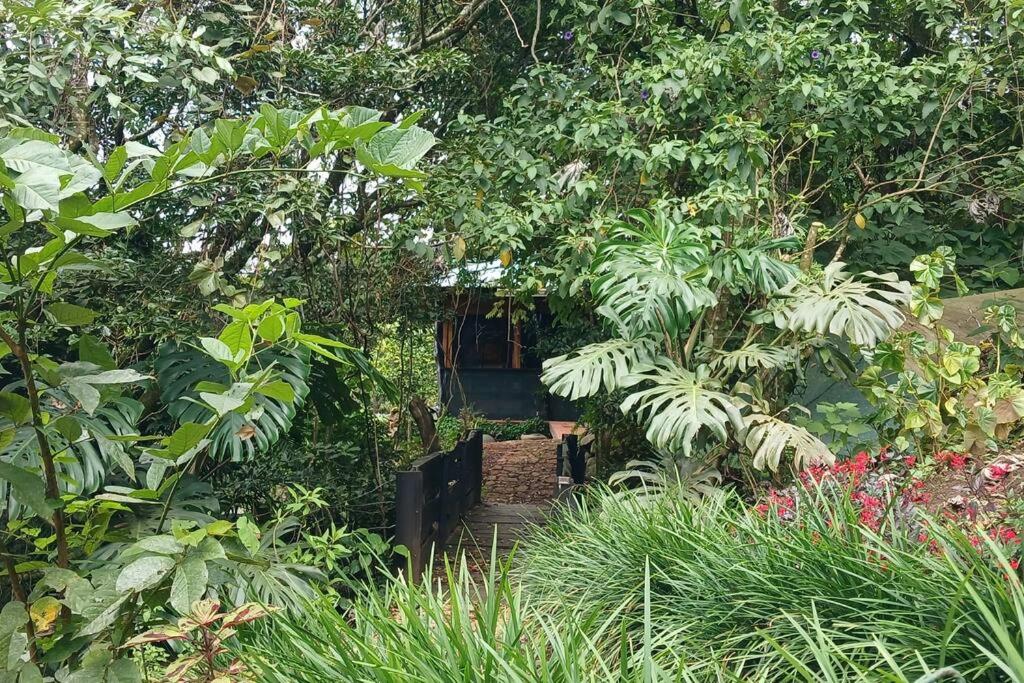 Casa Monstera