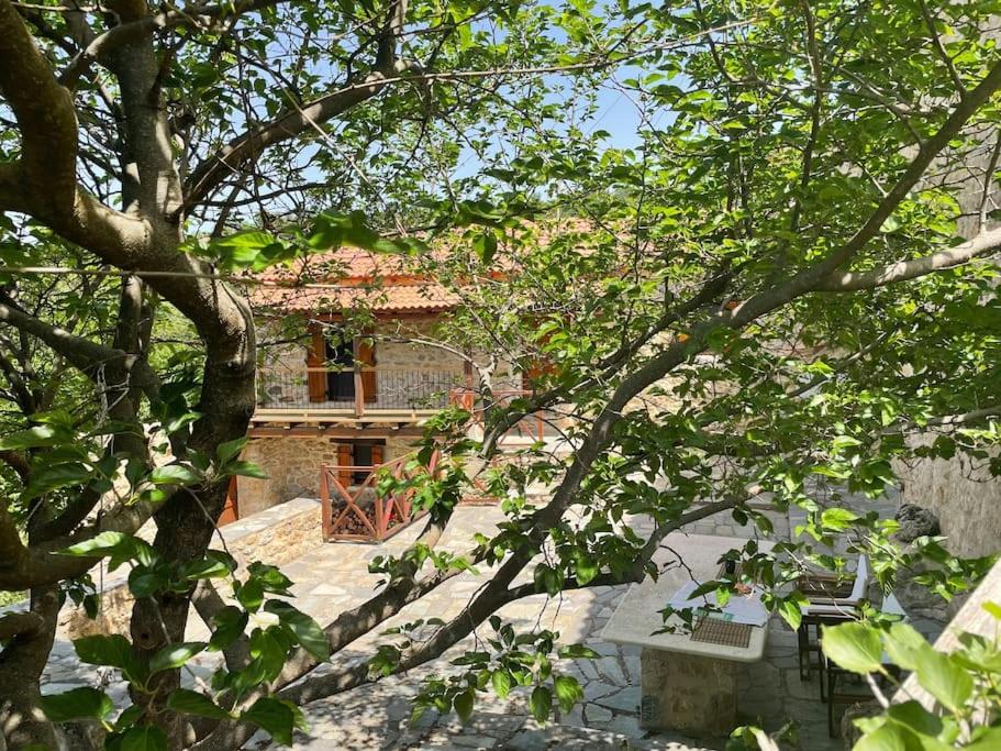 Mountain Retreat studio view 2