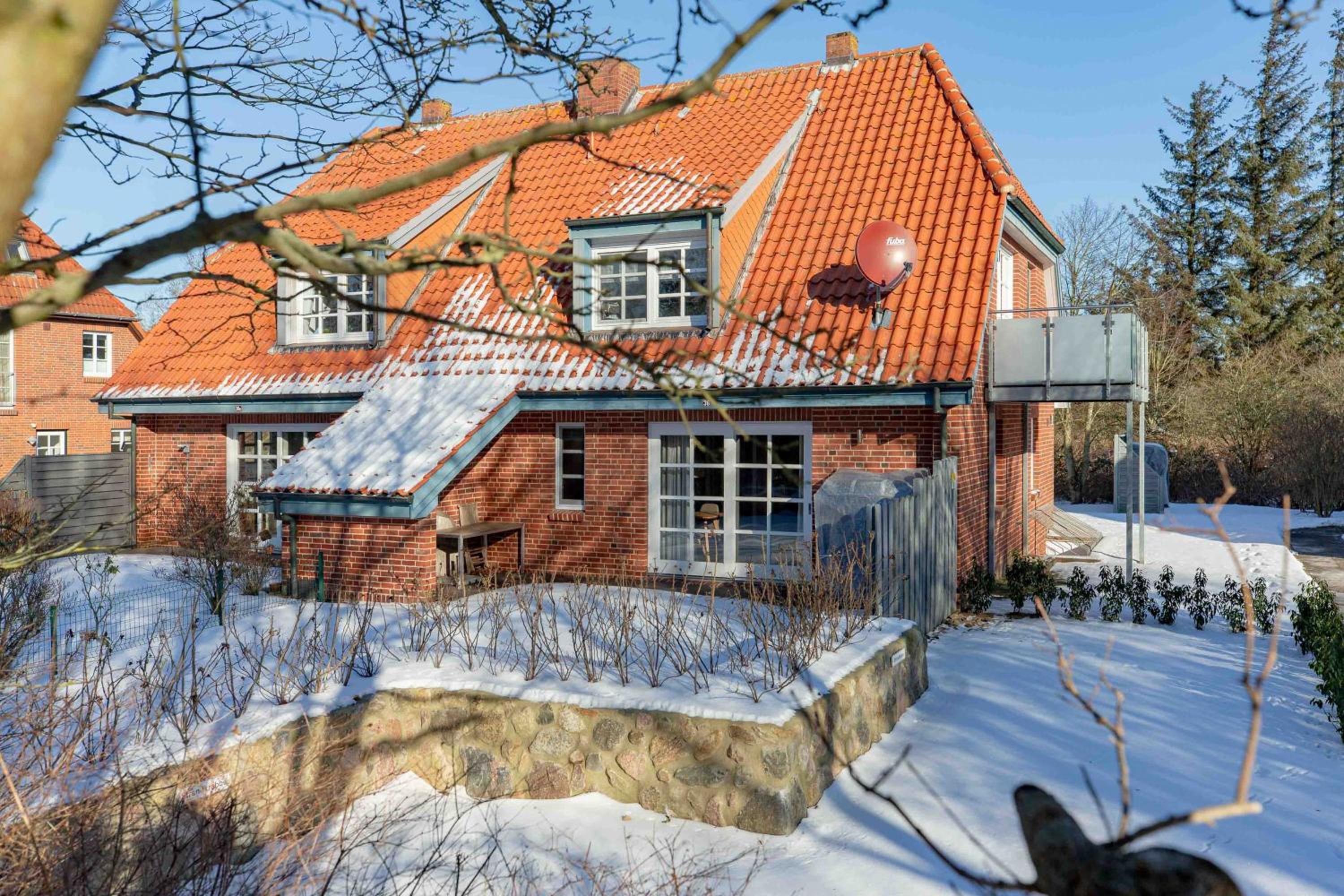 Strandkrabbe OG