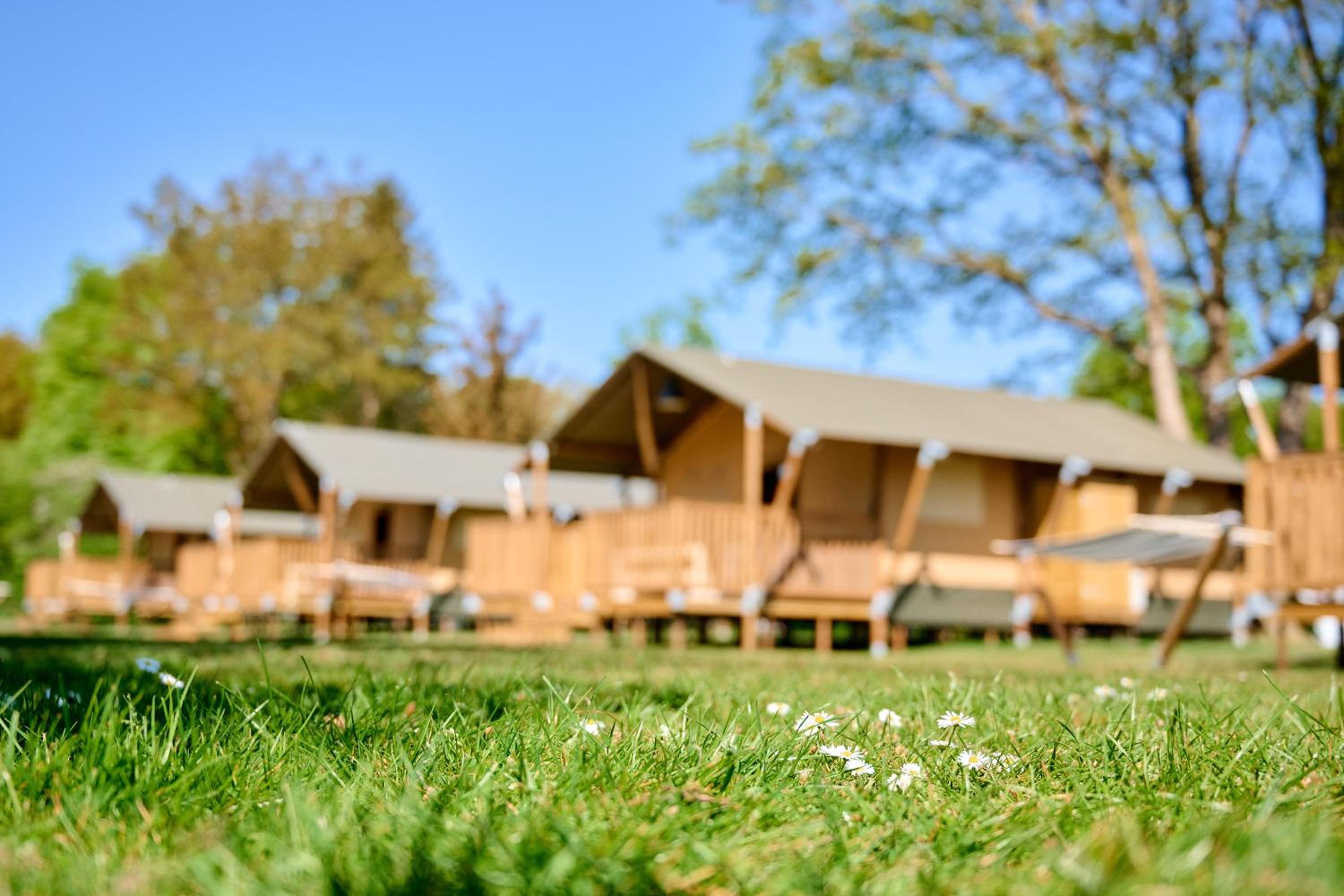 Glamping Drenthe