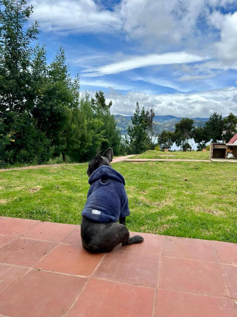TOSCANA de Tomine