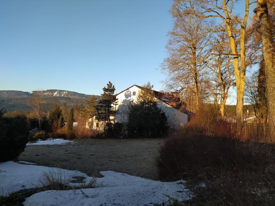 Apratmán Julie – Bavorská Ruda