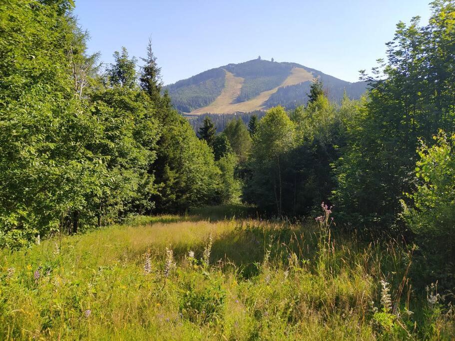 Apratmán Julie – Bavorská Ruda