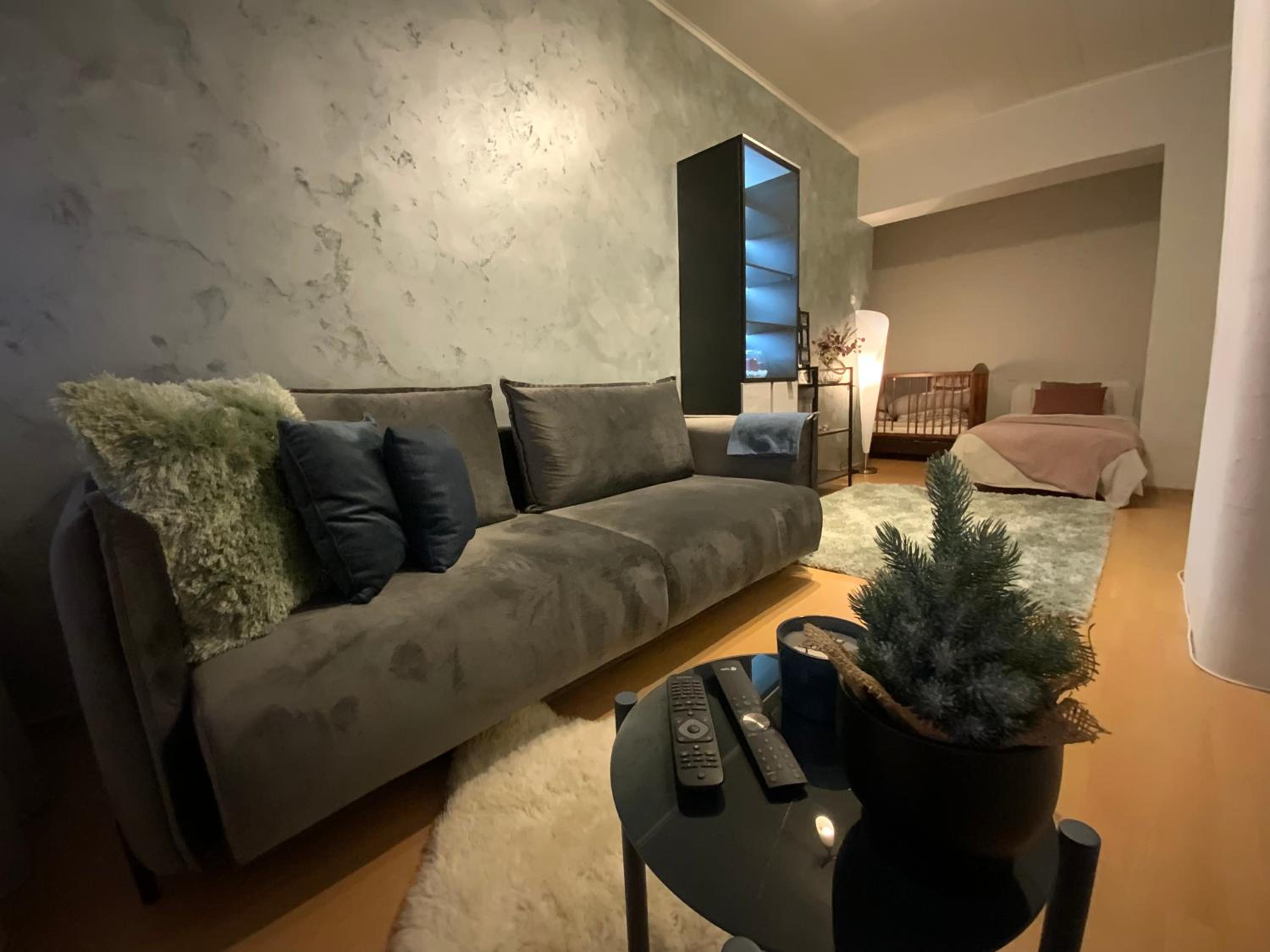 Vanemuise apartment