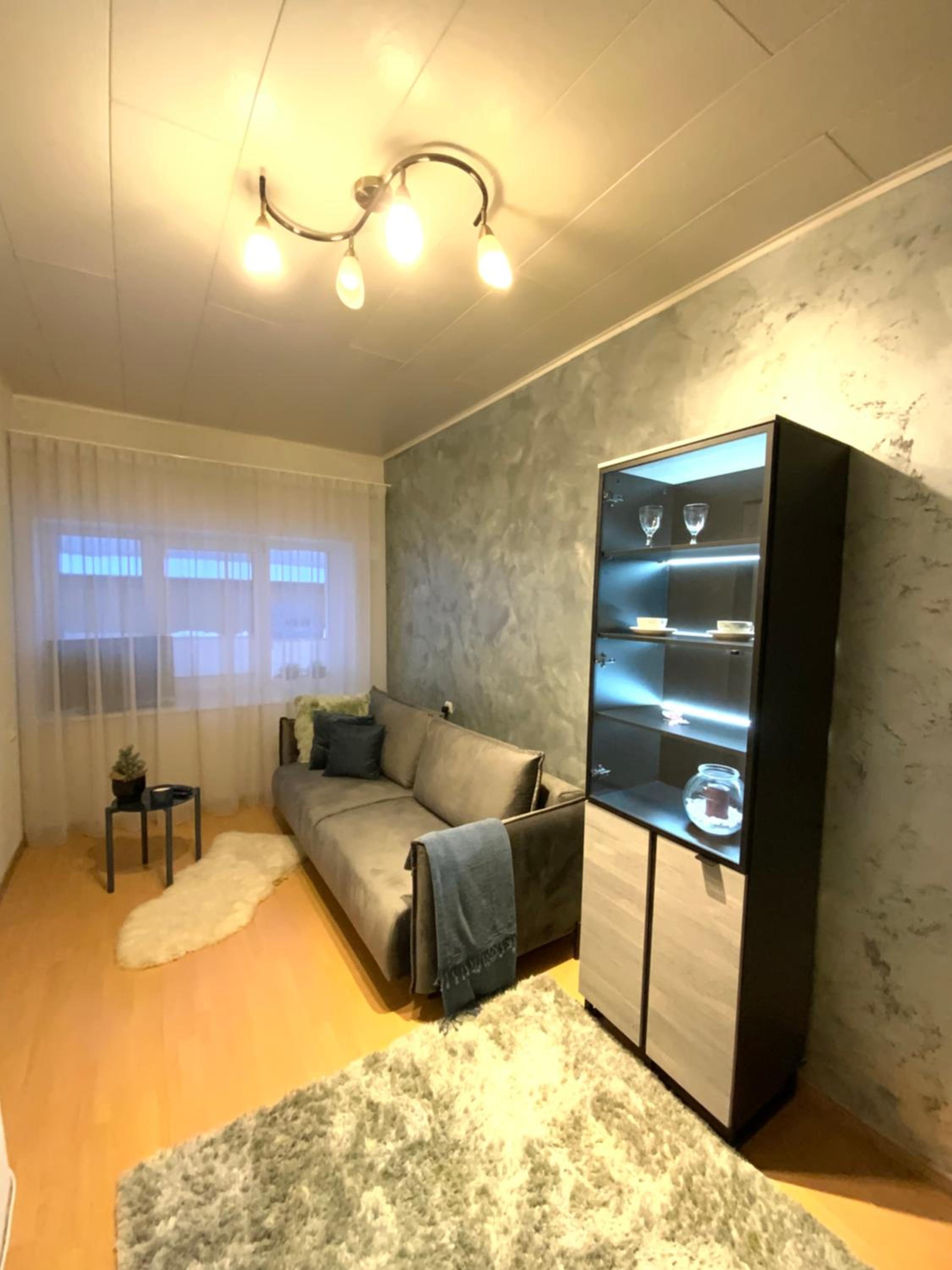 Vanemuise apartment