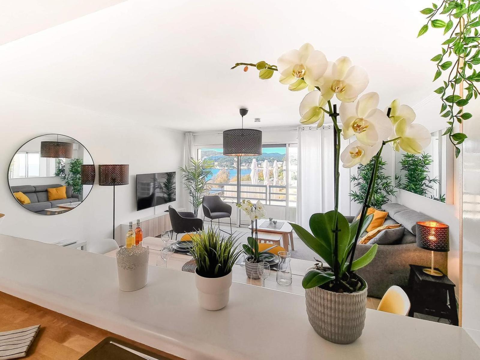 Appartement Luxueux 