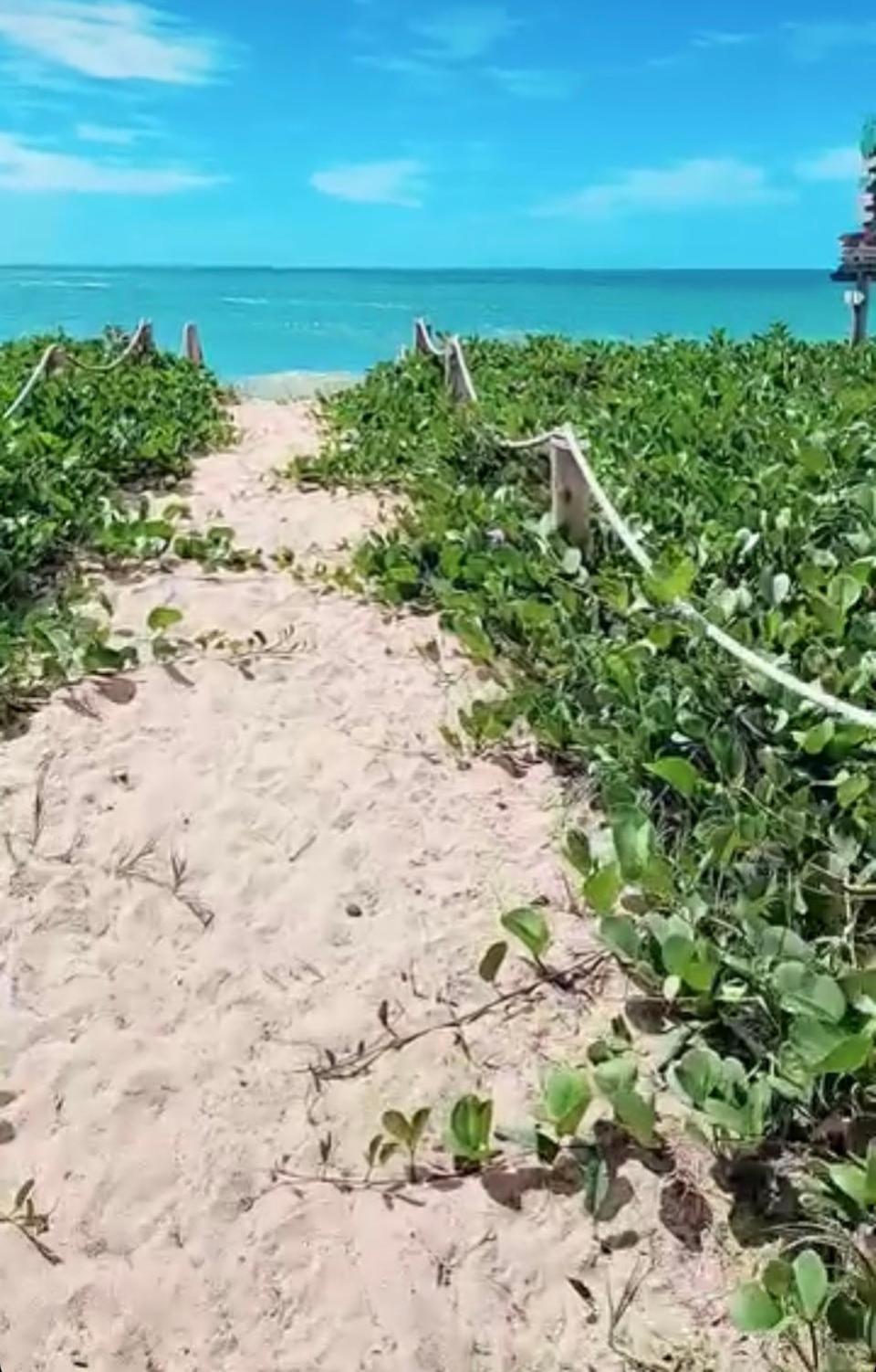 Casa pé na areia - Brandão House