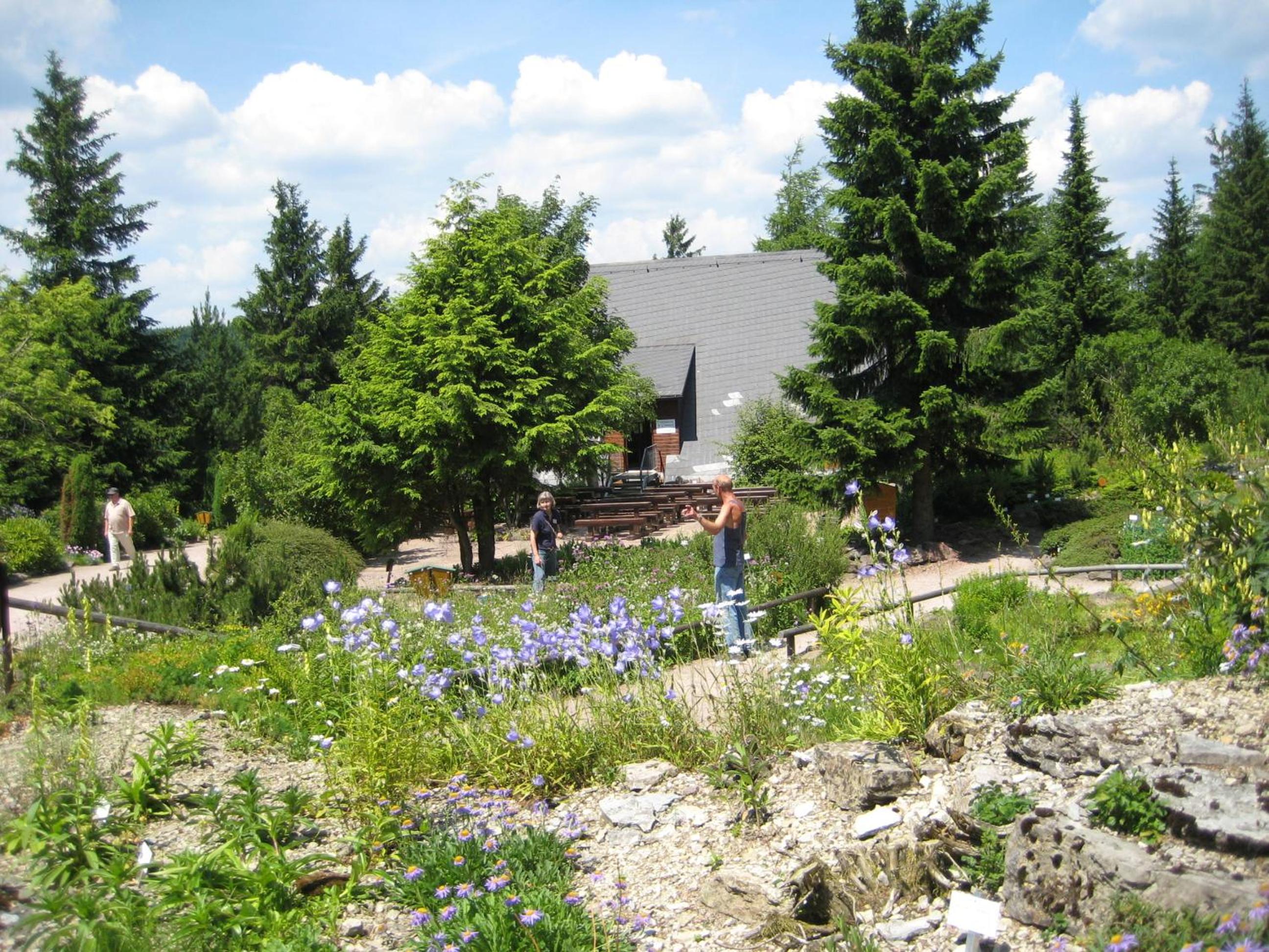 Pension Haus Flora