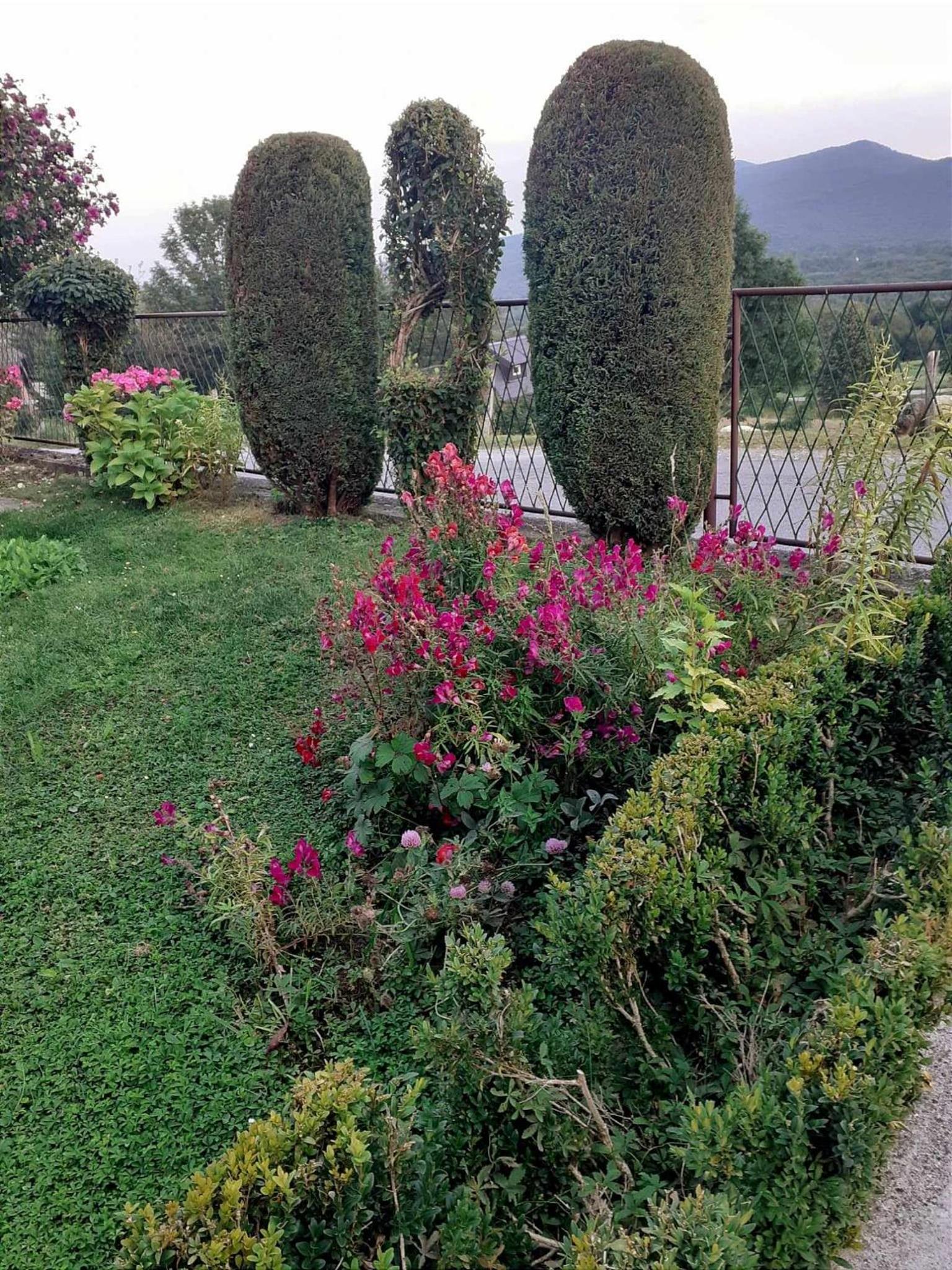 Photo 17