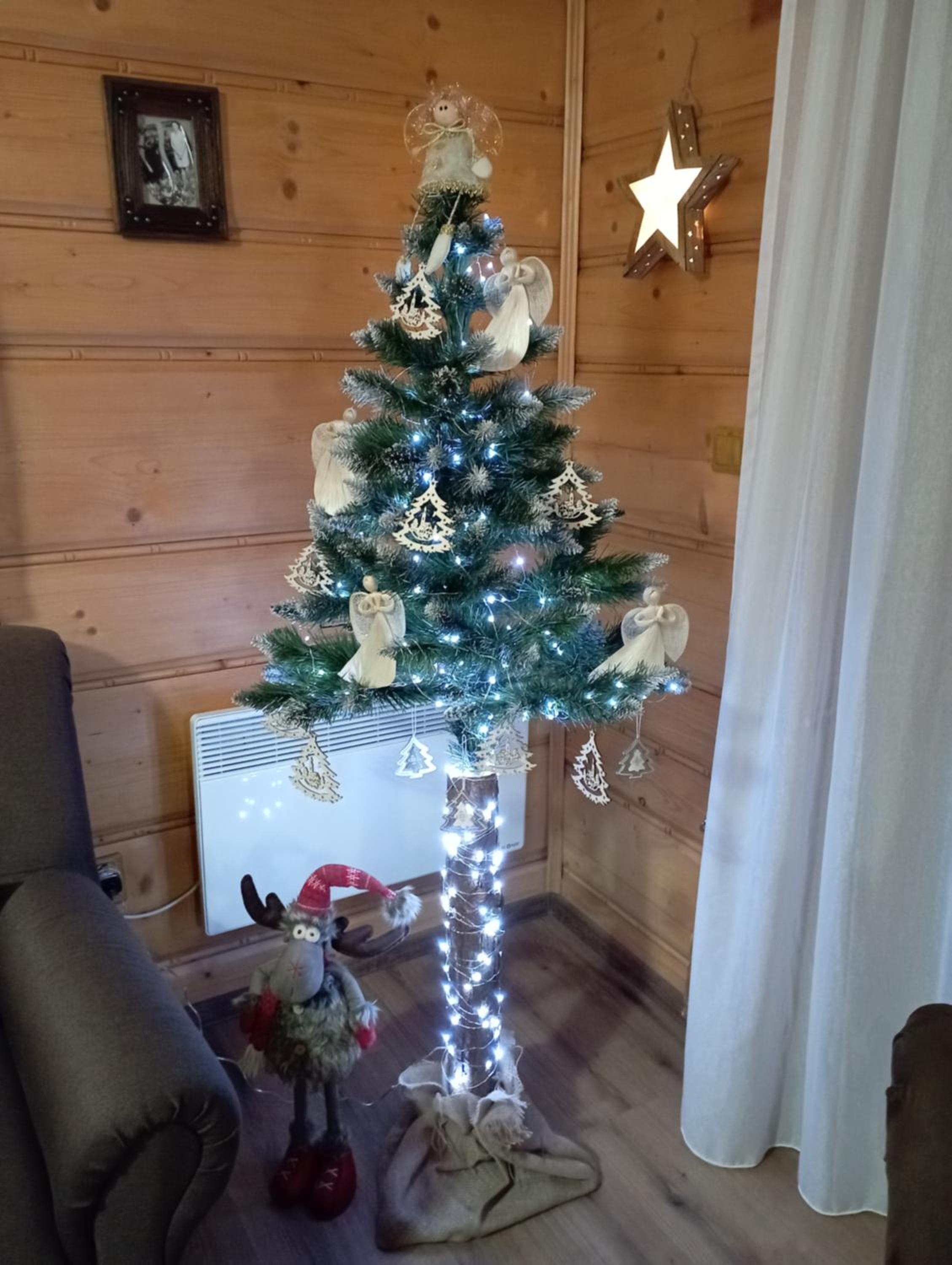 Photo 43