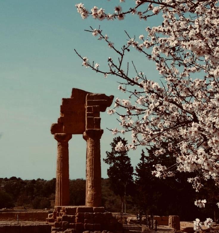 Flowers Appartaments en Seccagrande — other