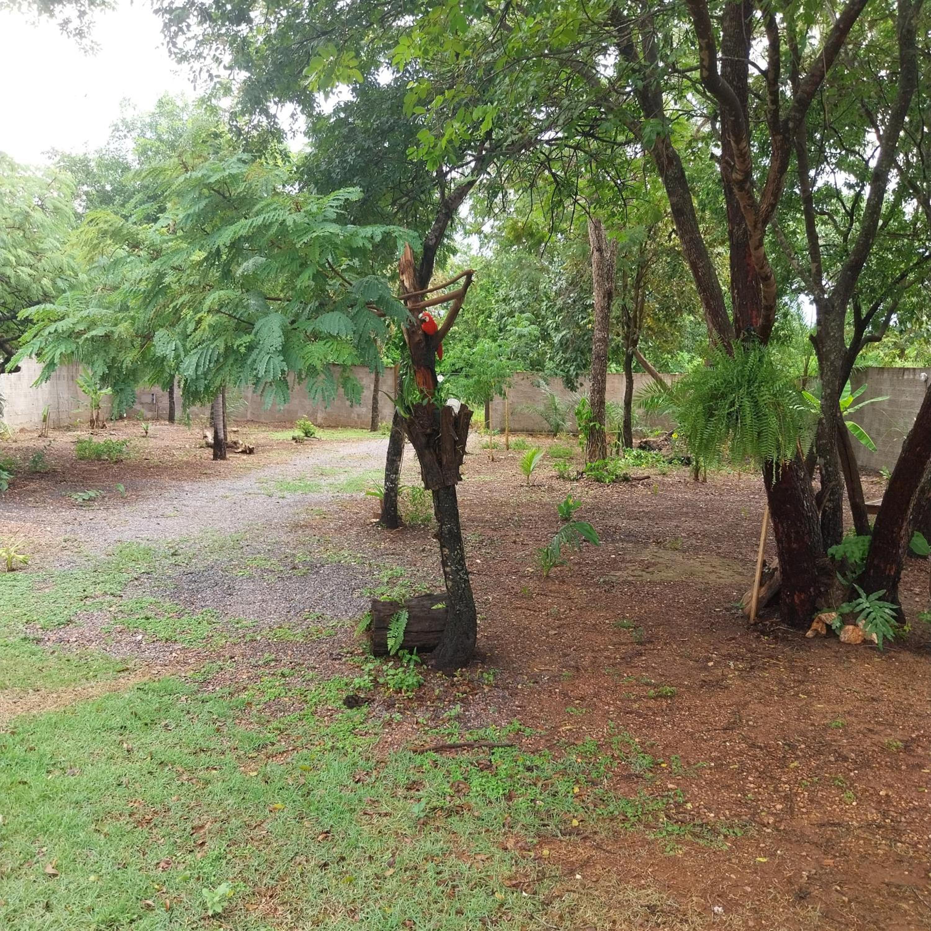 RANCHO CONTÊINER