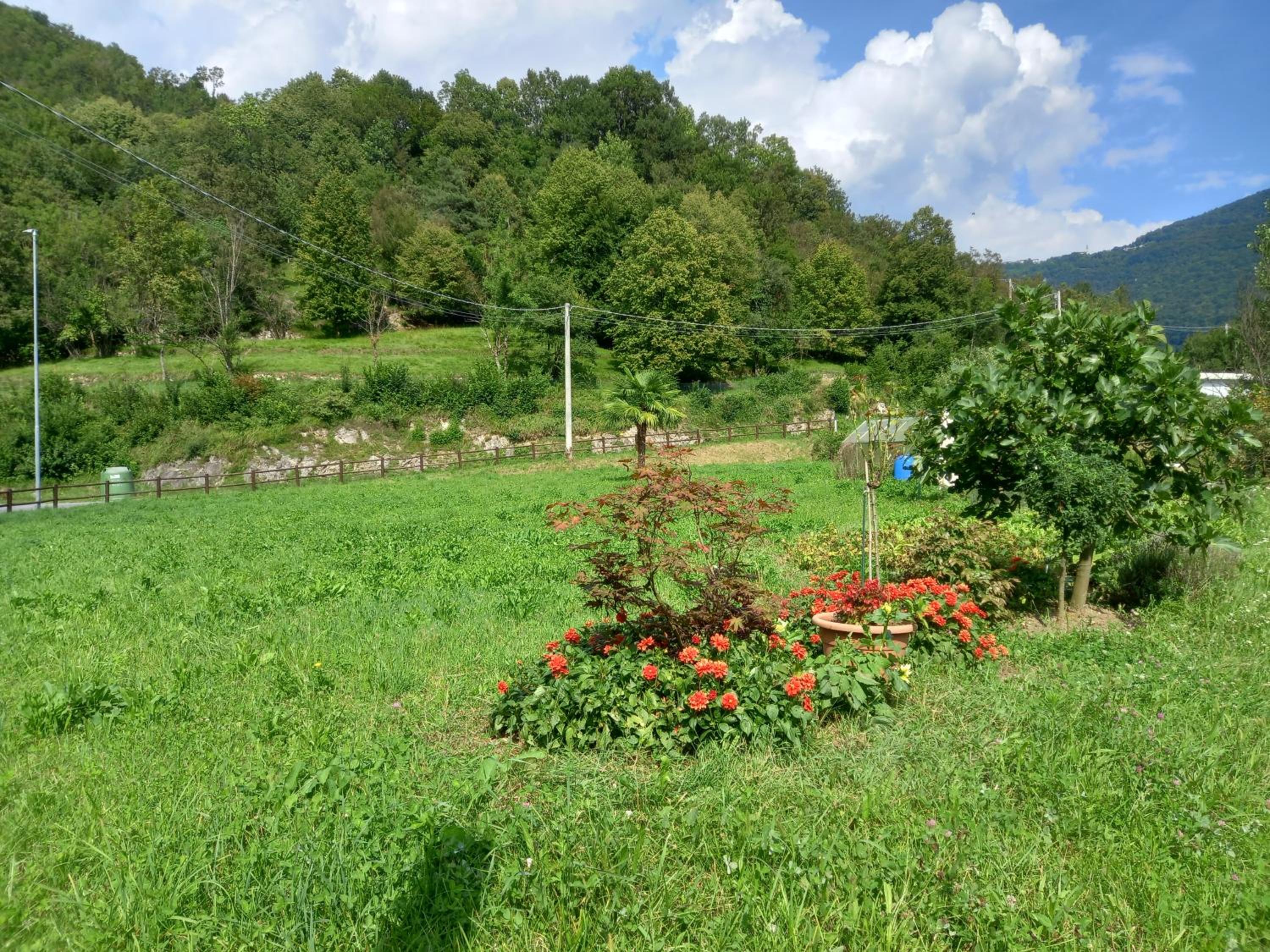 CASA VACANZE TANIA view 4