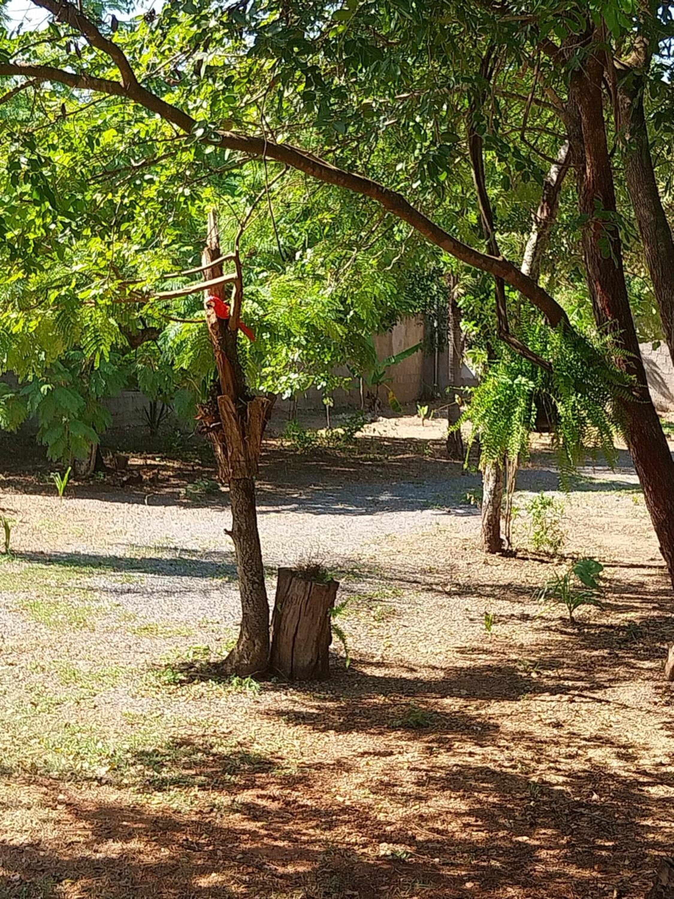 RANCHO CONTÊINER