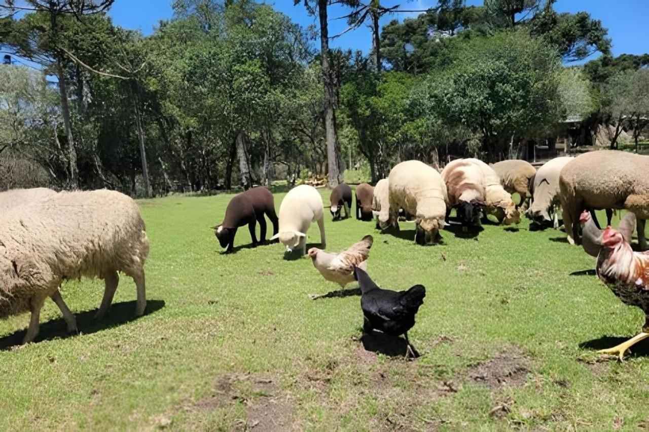 Vale das Montanhas