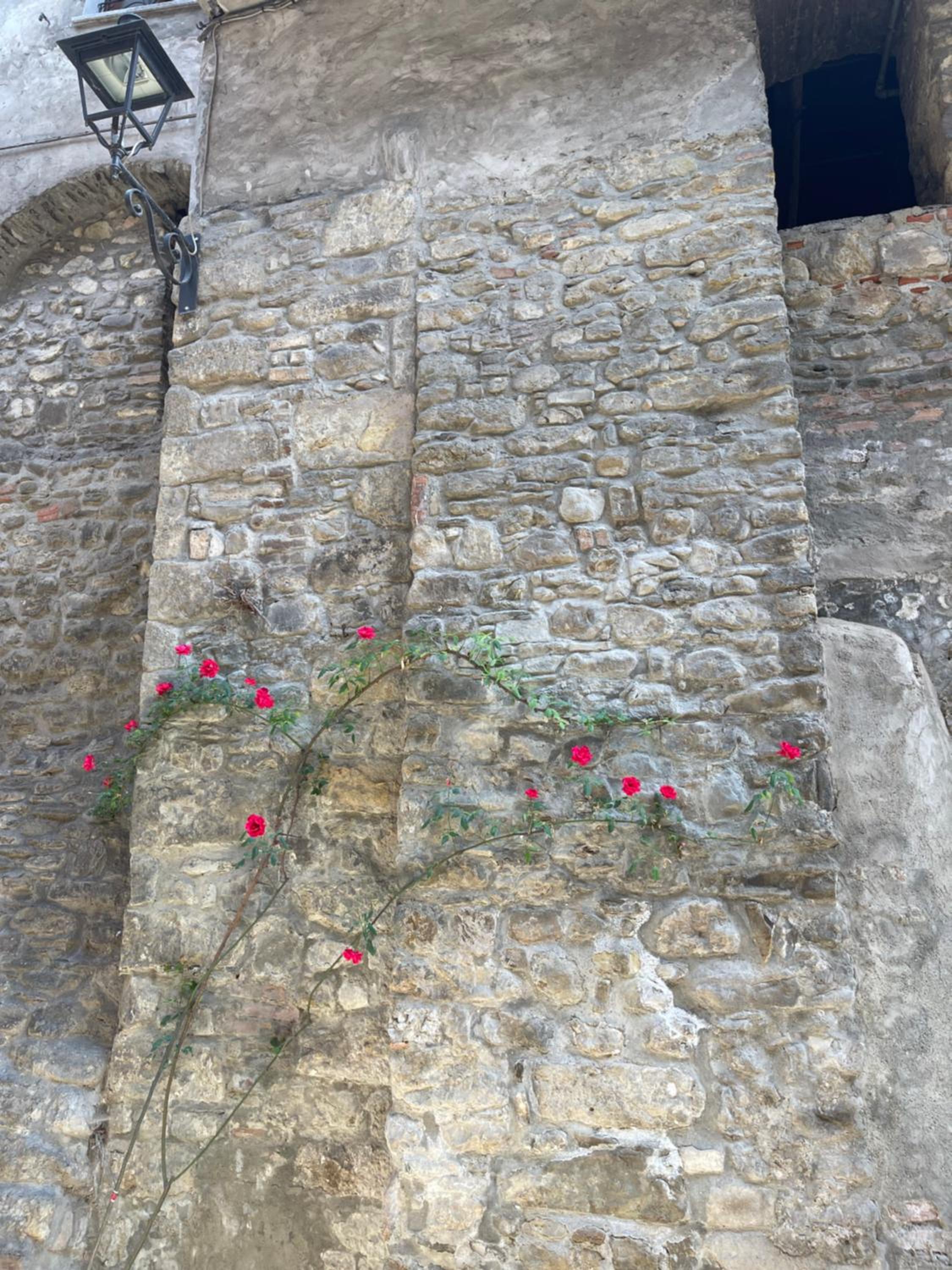 Photo 34