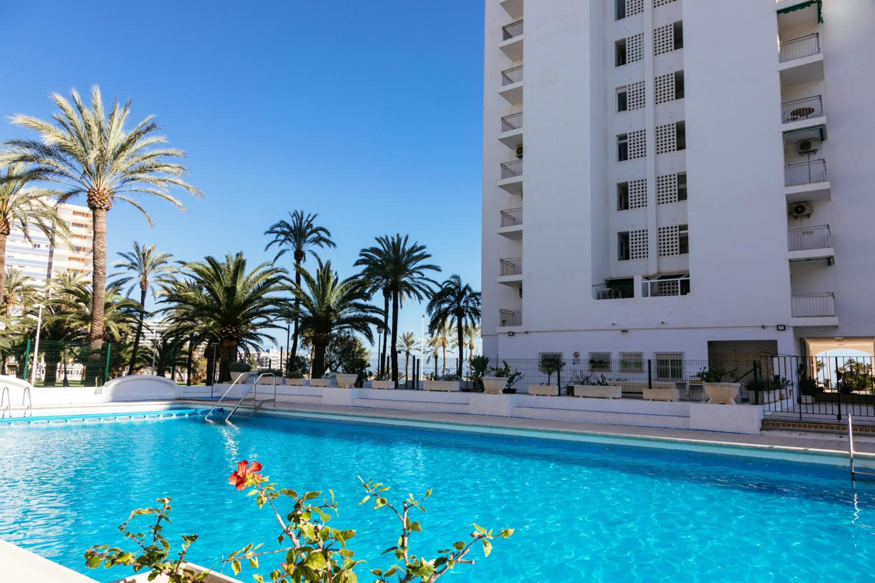 Almar Collection Cullera AR