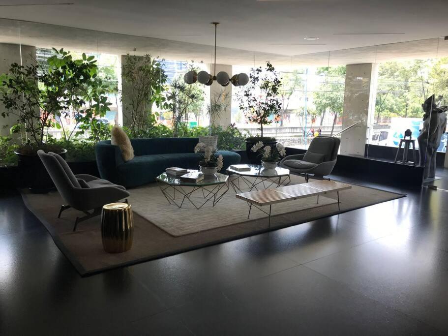 Cómodo departamento en Polanco. Pool, gym & garage view 5