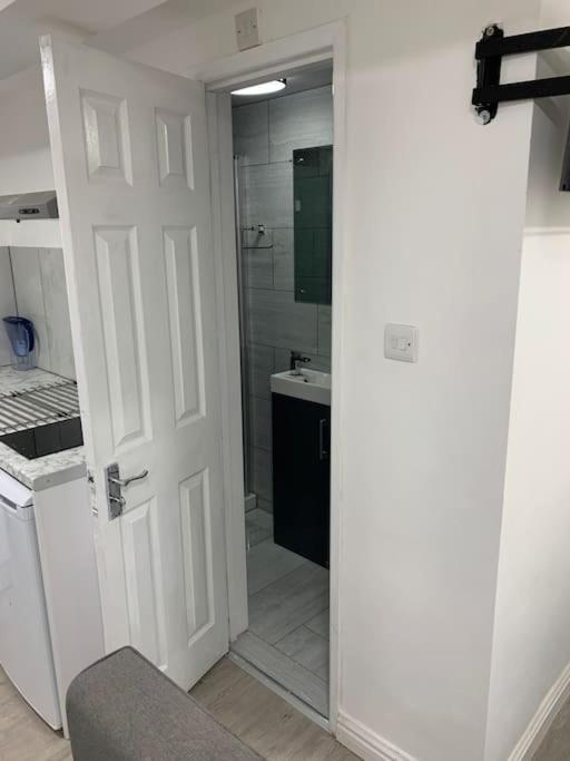 Cosy Studio Flat-Just Renovated-Free Street Parking & Independent Entrance view 4