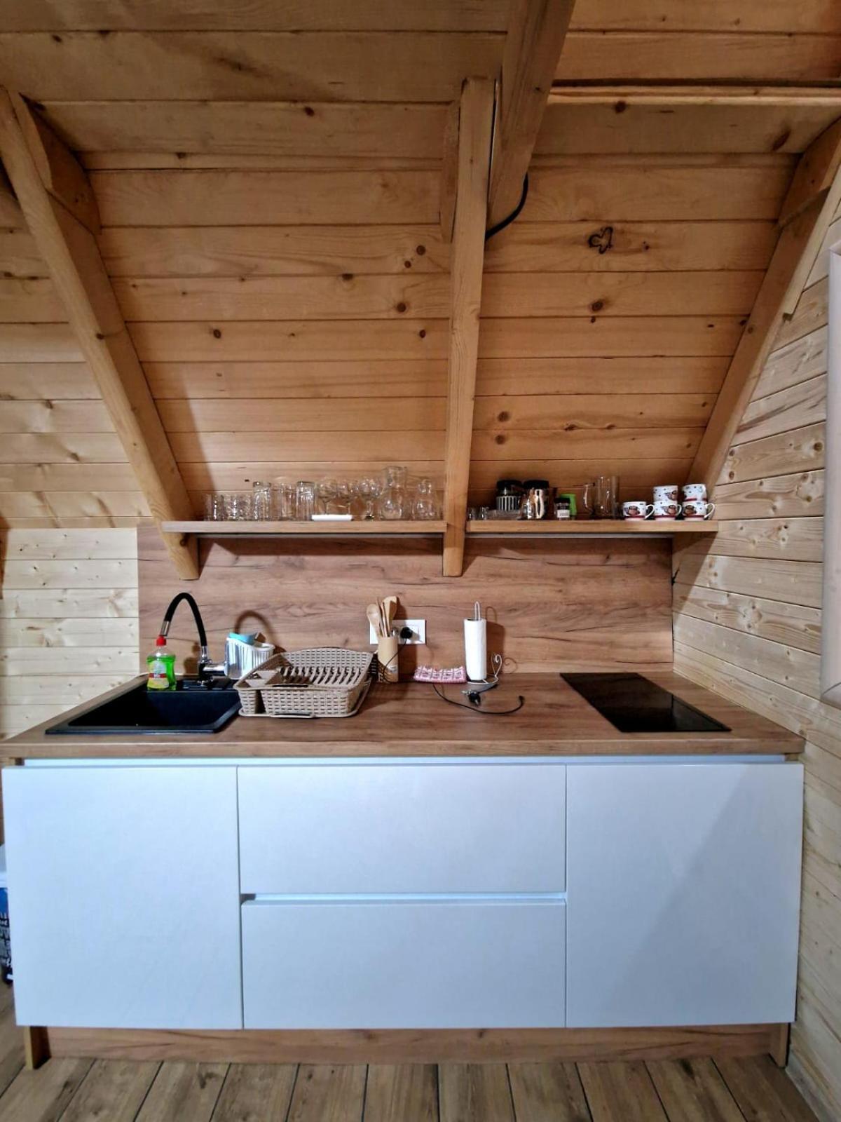 Vila Homoljska Idila1 Banja Zdrelo view 2