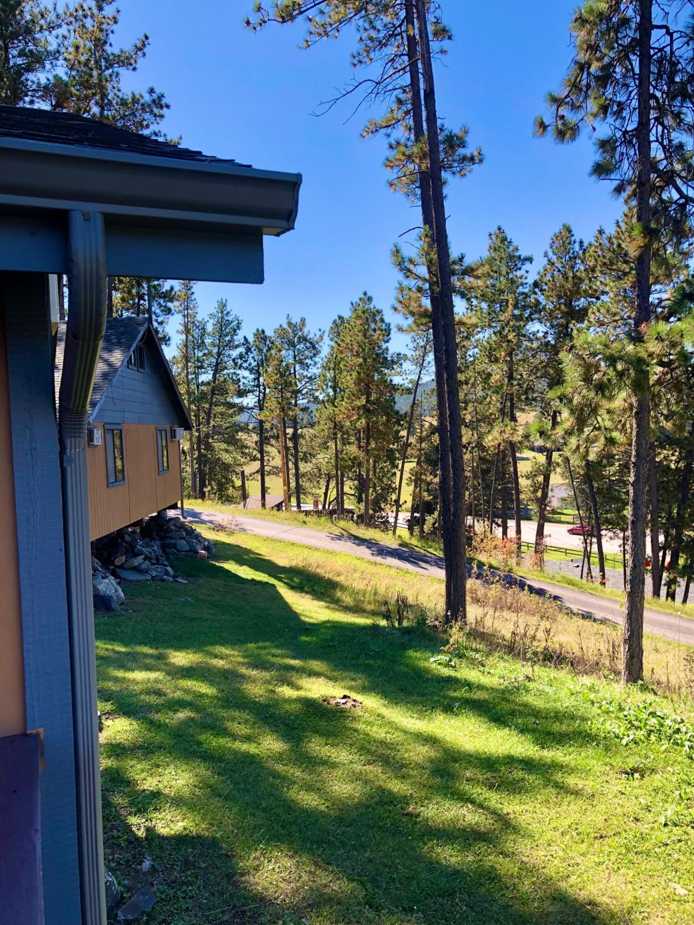 Mountain View Lodge & Cabins