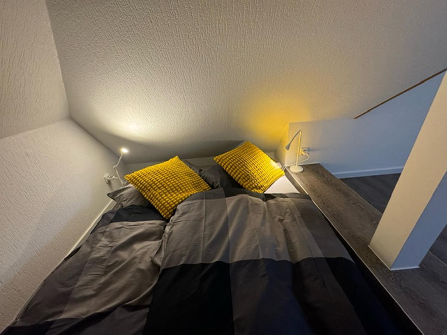 50126 Haus Deichrose