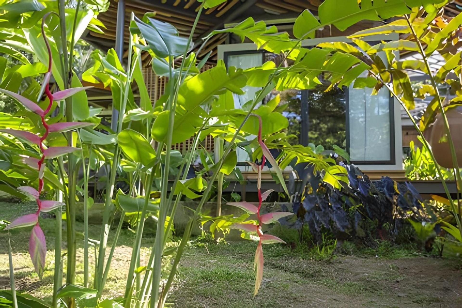 Luxury Jungle Villa with Open-Air Baths and Pool