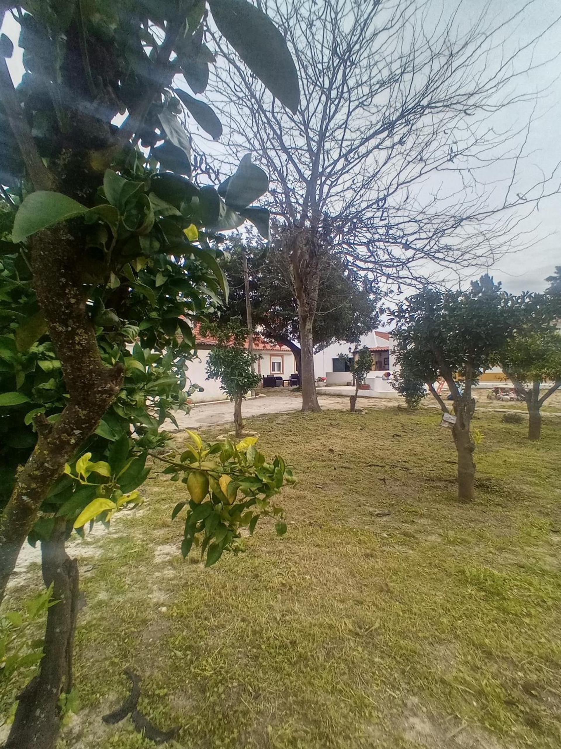 Photo 30